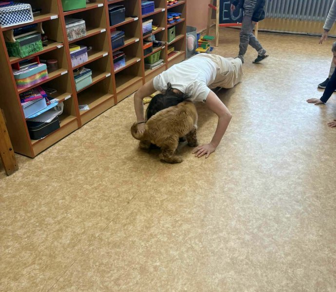 Obrázek galerie 20146