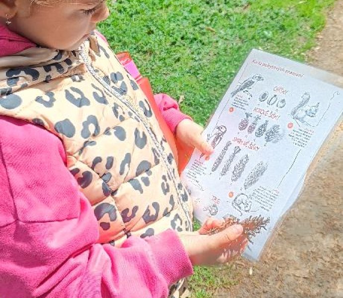 Obrázek galerie 20218