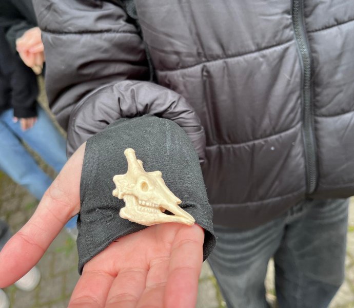 Obrázek galerie 20331