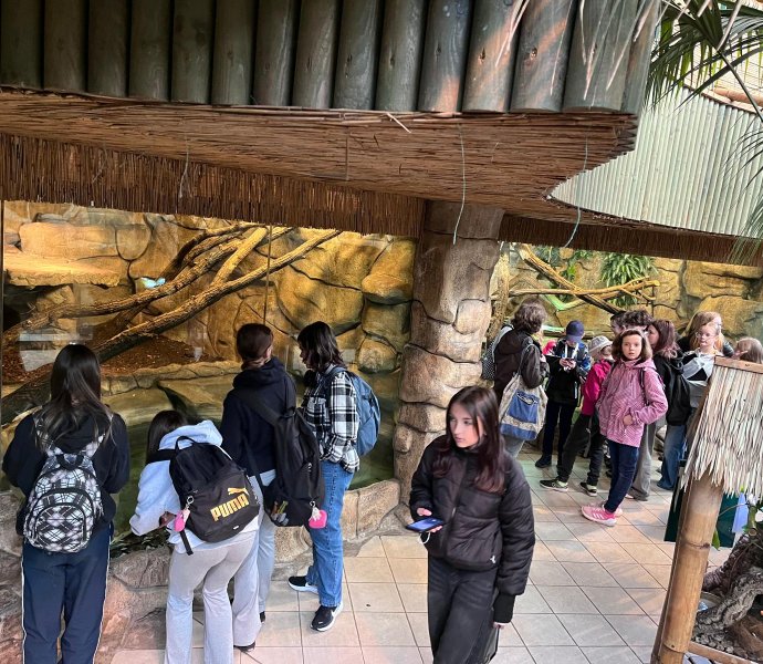 Obrázek galerie 20333