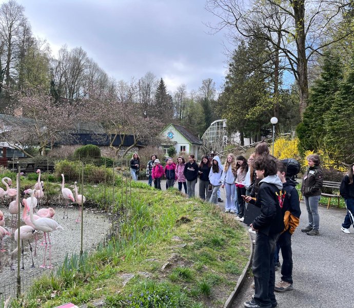 Obrázek galerie 20335