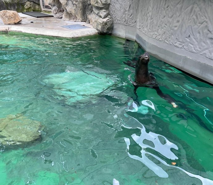 Obrázek galerie 20337