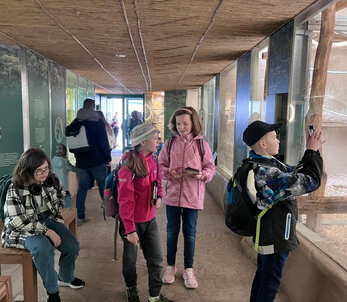 Obrázek galerie 20339