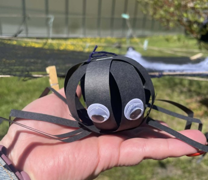 Obrázek galerie 20369