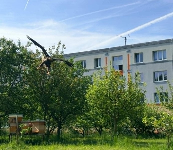Obrázek galerie 20888