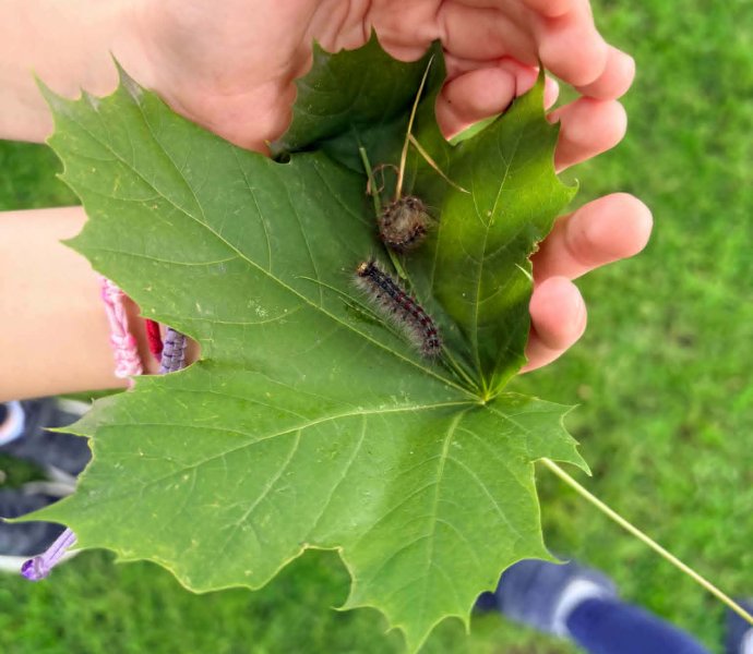 Obrázek galerie 21579