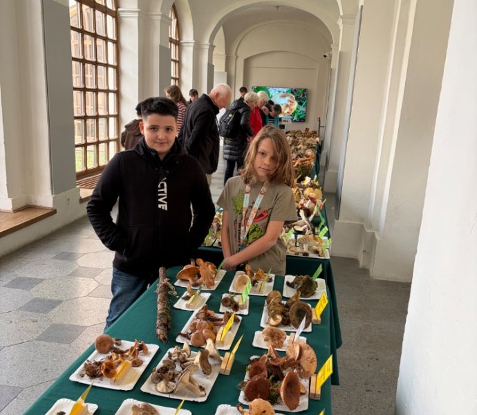Obrázek galerie 22718