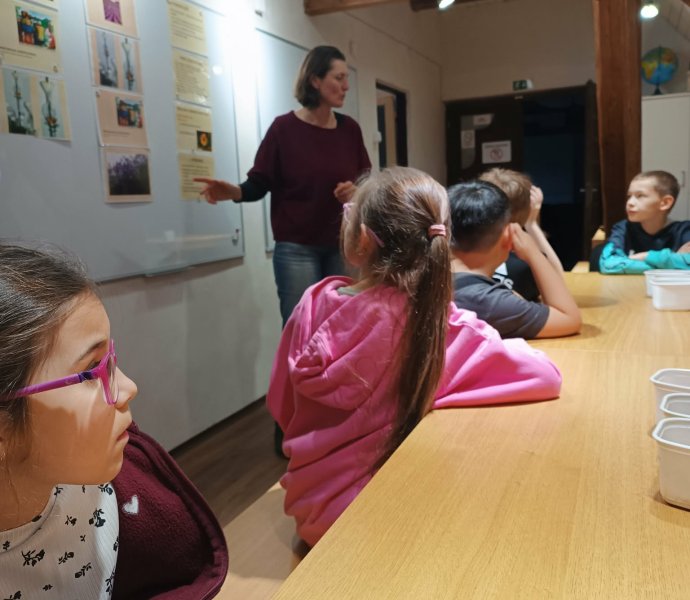 Obrázek galerie 19561