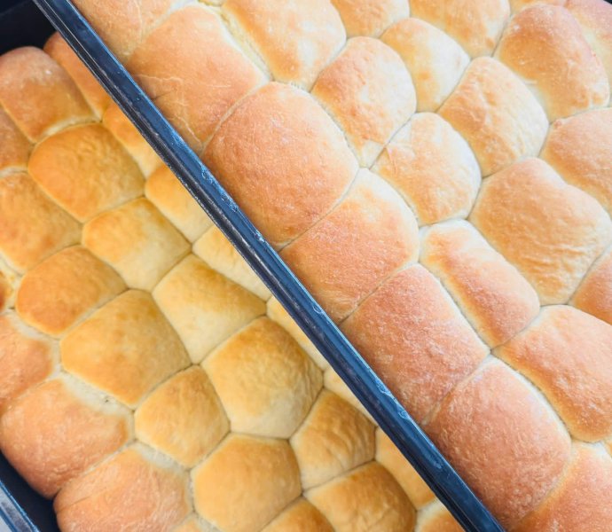 Obrázek galerie 19566