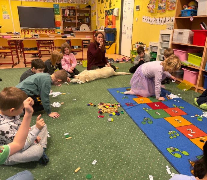 Obrázek galerie 19645