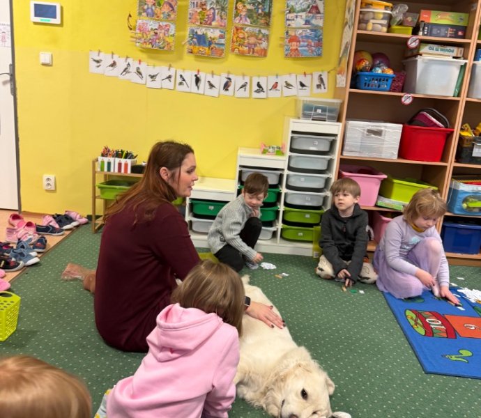 Obrázek galerie 19646